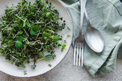 Mix of Radishes Microgreens