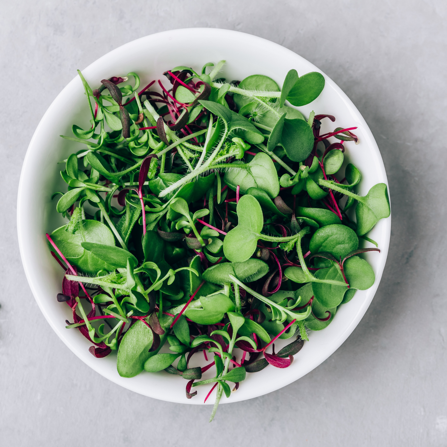 Mix of Radishes and Amaranth Microgreens