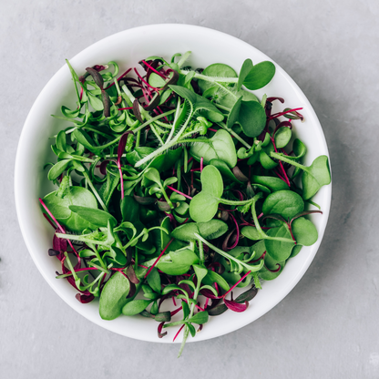 Mix of Radishes and Amaranth Microgreens