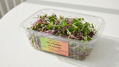 Mix of Radishes (Daikon, Rambo, China Rose) & Green Pea Microgreens