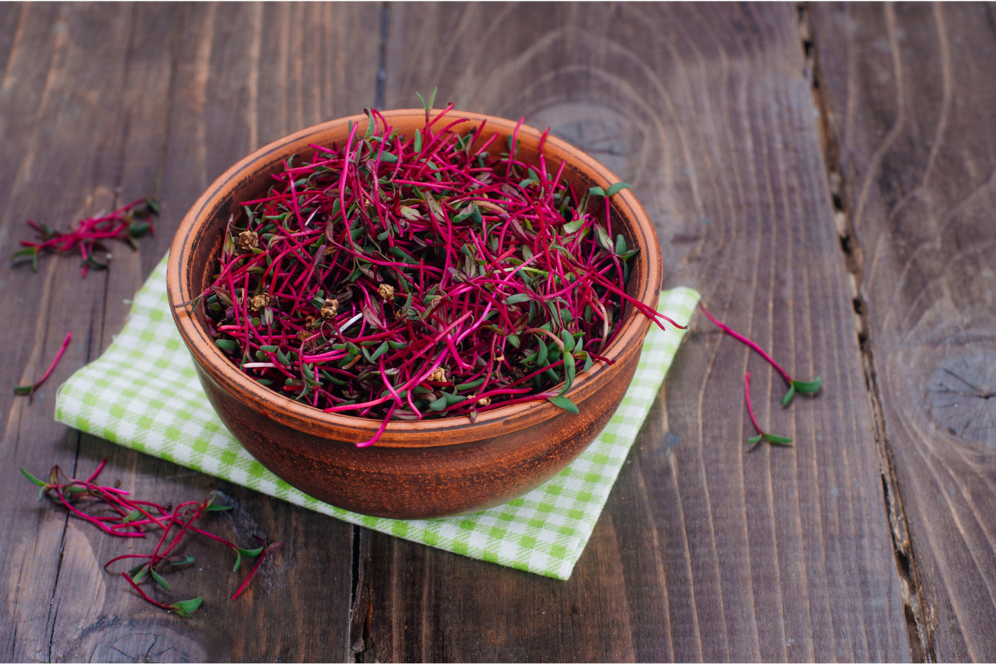 Beetroot Microgreens