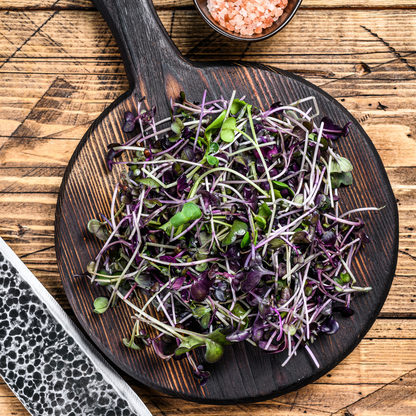 Mix of Radishes Microgreens