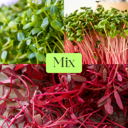 Mild Mix - Crimson Crunch