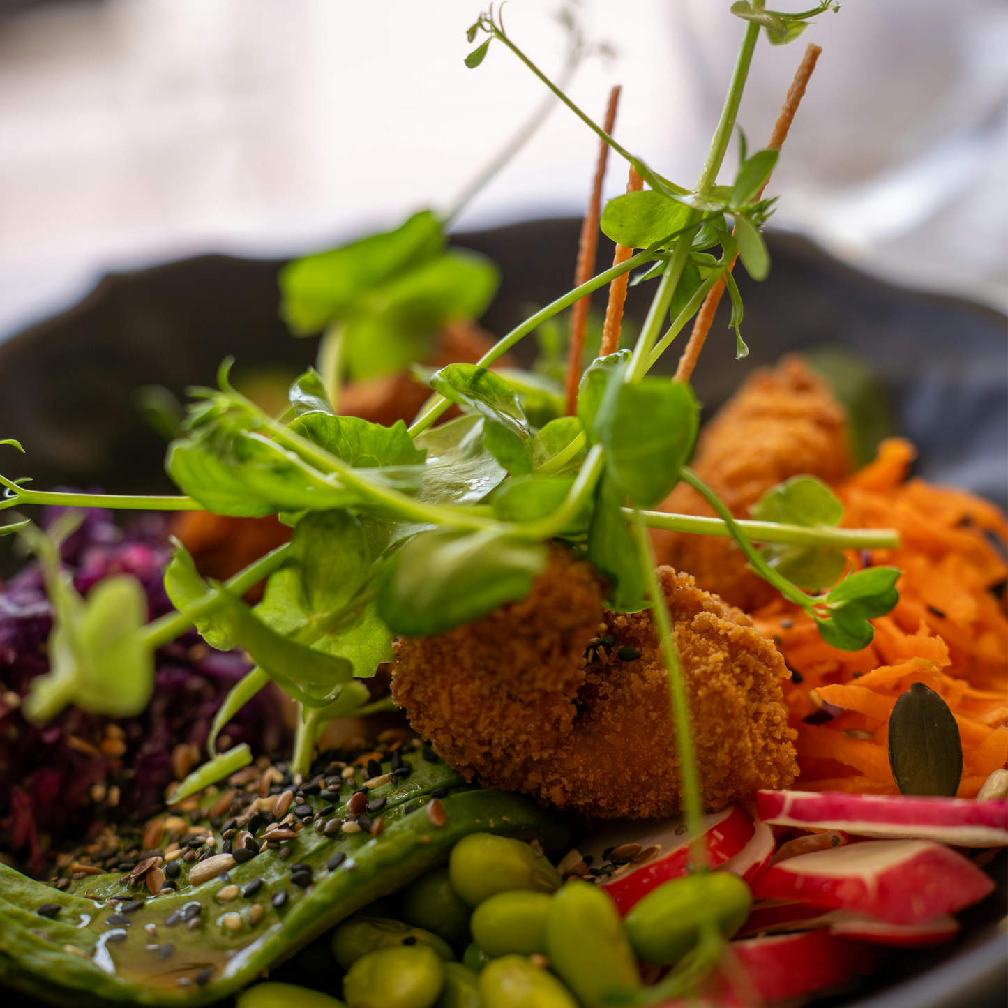 Daikon Radish Microgreens